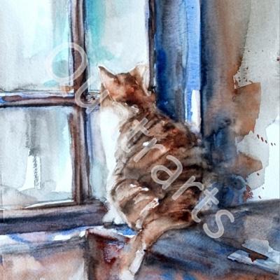 Chat perché- 30x40cm-Mai 2025- 80€