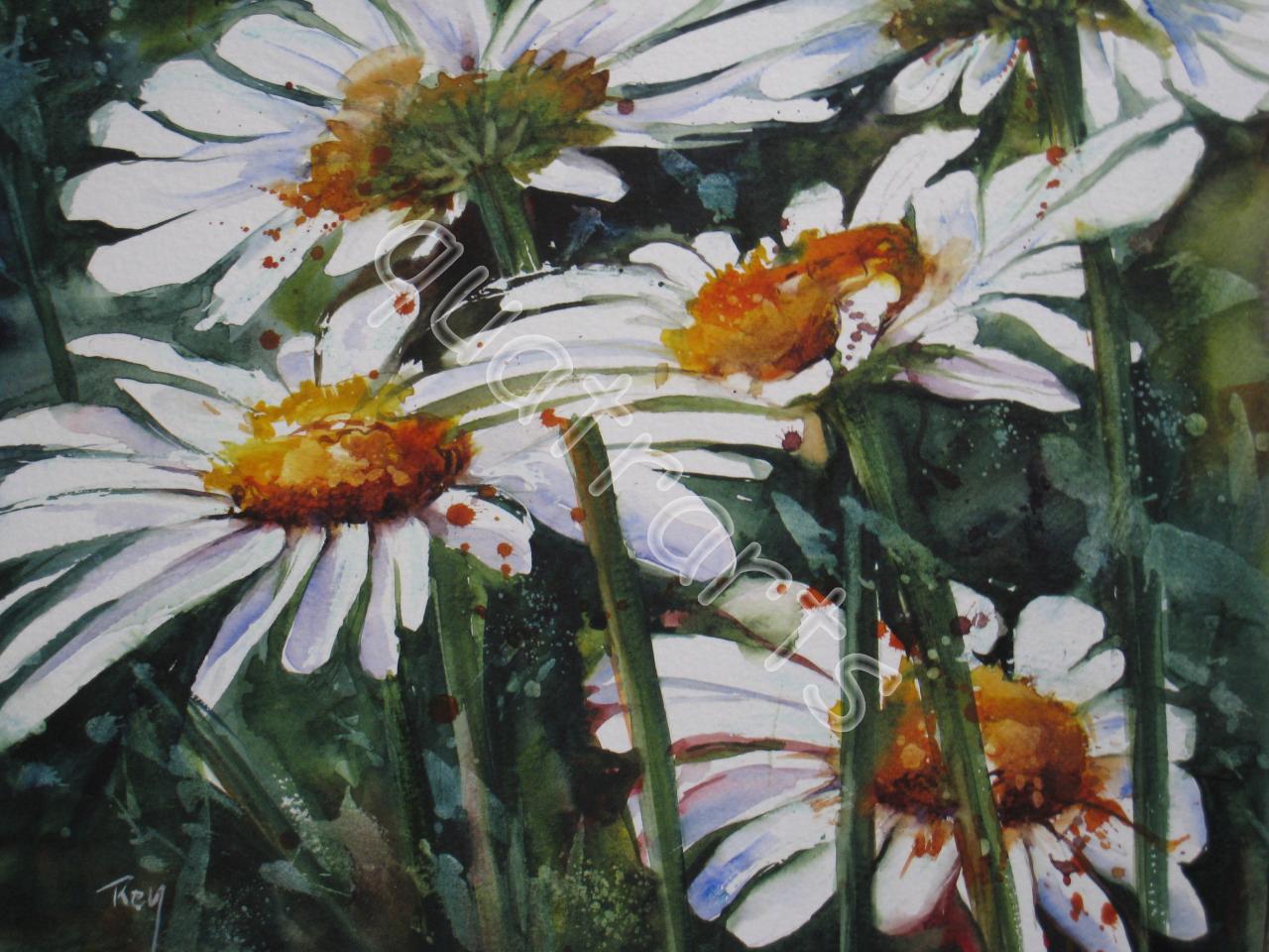 Marguerites- 23 x 23 cm- 130€- Juillet 2012