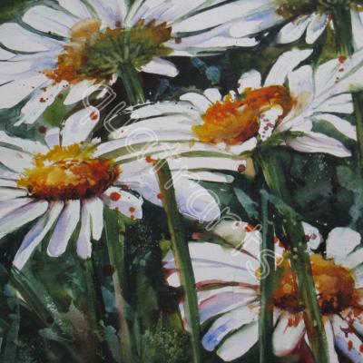 Marguerites- 23 x 23 cm- 130€- Juillet 2012