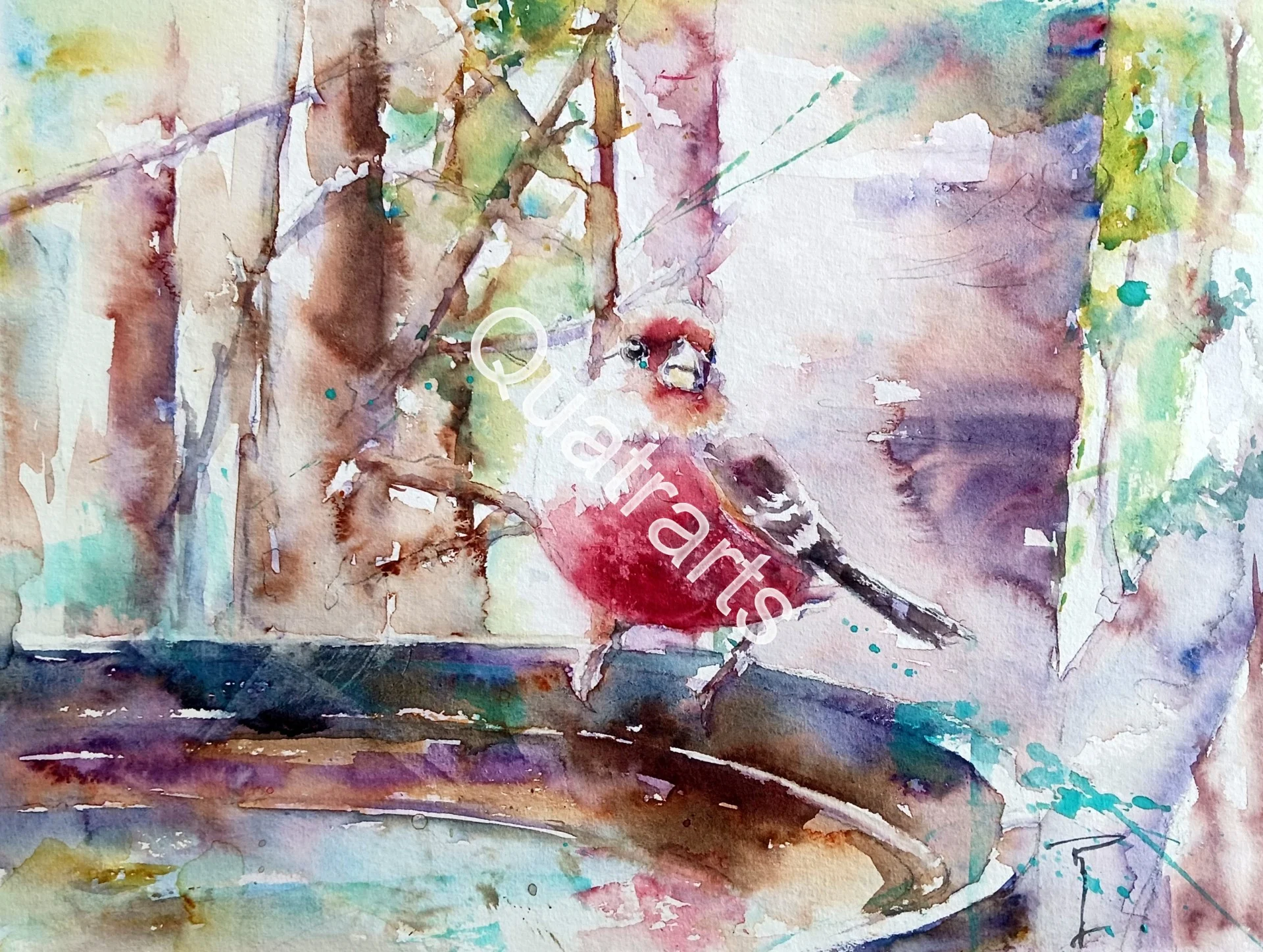 Soif de piaf. 30x40cm- 150€- Juin 2025